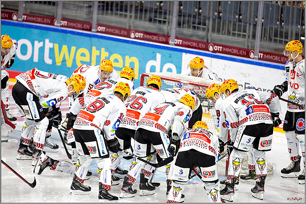 PENNY DEL;  Koelner Haie - Fischtown Pinguins Bremerhaven; Koeln, 17.01.2021